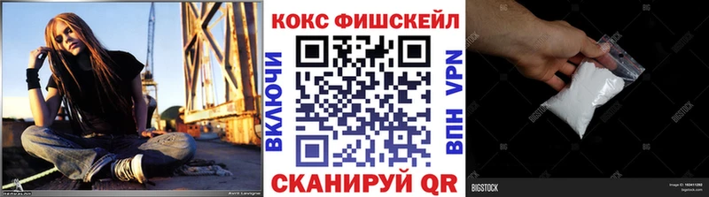 Купить закладки  Тосно  Cocaine Эквадор 