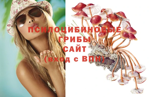 меф VHQ Дмитриев