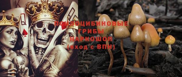 меф VHQ Дмитриев
