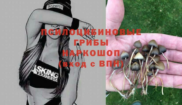 а пвп мука Дмитровск
